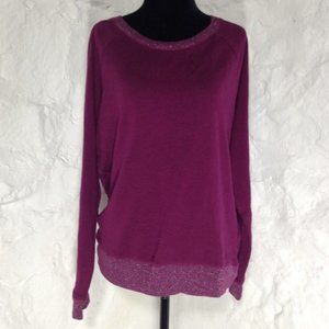 Aerie purple sparkle trim sweater pullover
